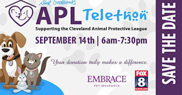 APL-PR-Image