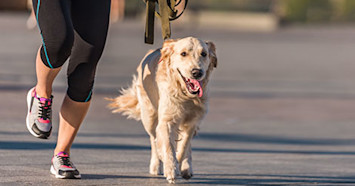 dog running with woman