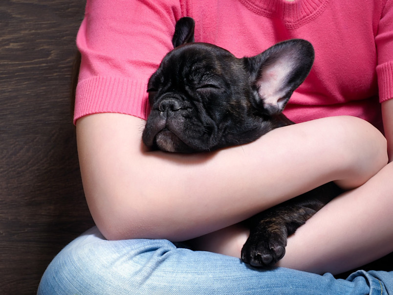 Dog cuddling with owner