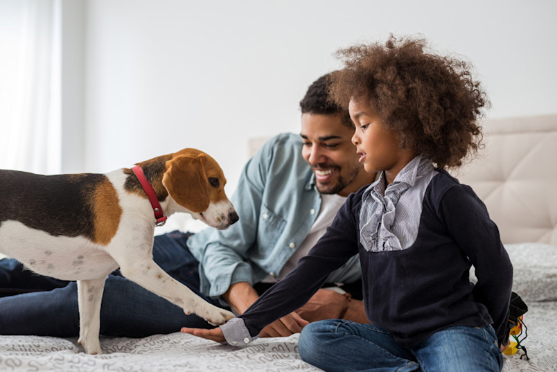 Dog with family