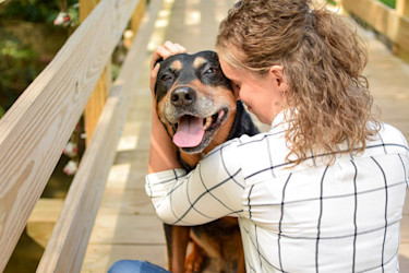 Embrace Pet Insurance Valentines Day