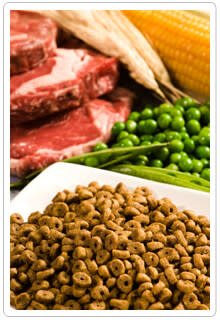 Filler in Pet Food