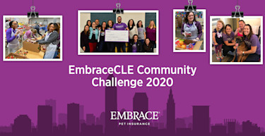 GoFundMe-CLEChallengeBanner-200x1440-v4