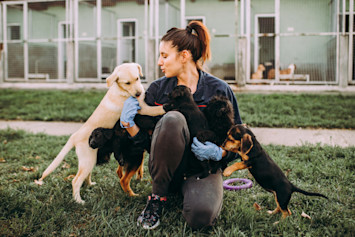 Puppy with owner