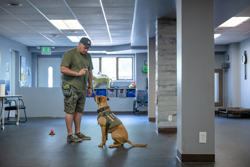 Service Dog in Training with Trainer