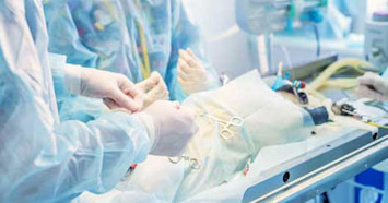 Spay Surgery