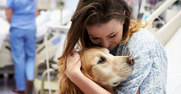 therapy dog