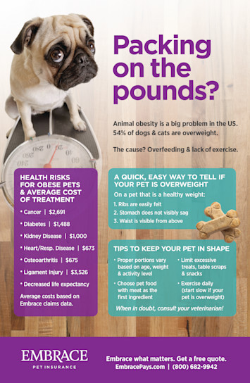 Pet obesity