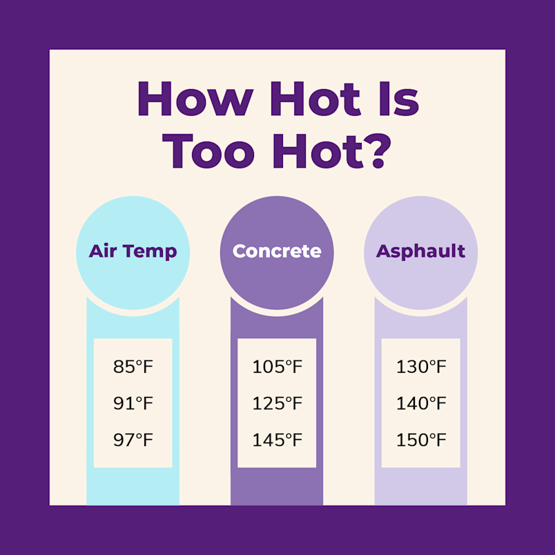 Pavement Temperatures for Dog's Paws