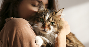 tabby cat snuggling owner