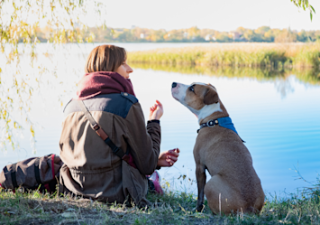 A woman and her attentive dog share a peaceful moment by the lake, their connection evident as she gestures while speaking—a beautiful illustration of the unspoken bond that makes us wonder how our furry companions show their love.
