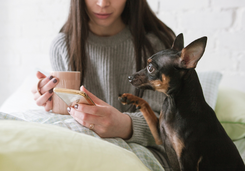 A small black and tan dog gazes lovingly at a woman in a cozy sweater holding a coffee cup—capturing that sweet morning moment when your pup wants nothing more than to be part of your daily ritual.