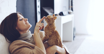 woman booping orange cat on nose