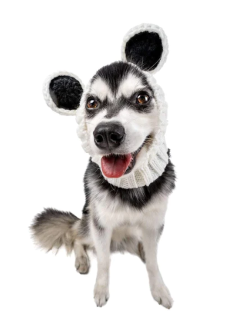 Panda Zoo Snood dog gift idea